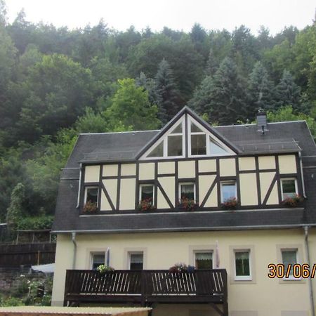 Fewo Jahn Apartamento Bad Schandau Exterior foto